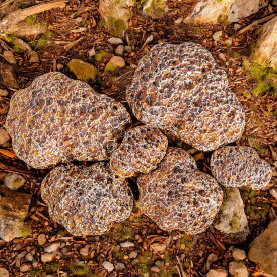 Set 6 x Pietre decorative din polistiren, aspect natural, usor de curatat, Naimeed D6530