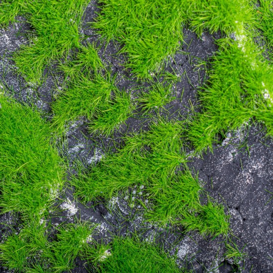 Set 3 x Pietre decorative din polistiren, aspect natural, usor de curatat, Naimeed D6533