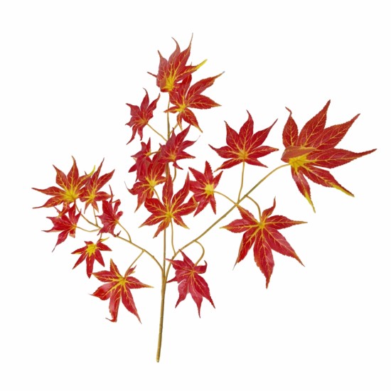 Set 6 crenguta fara ghiveci, Naimeed D3073, 61x68cm, Rosu