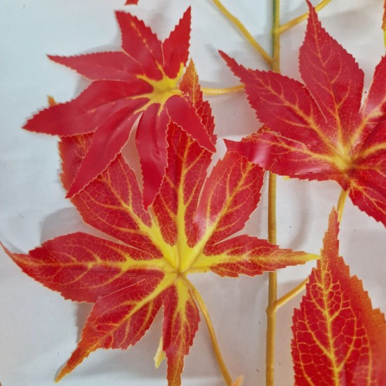 Set 6 crenguta fara ghiveci, Naimeed D3073, 61x68cm, Rosu