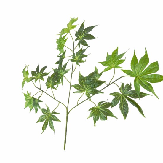 Set 6 crenguta fara ghiveci, Naimeed D3073, 61x68cm, Verde