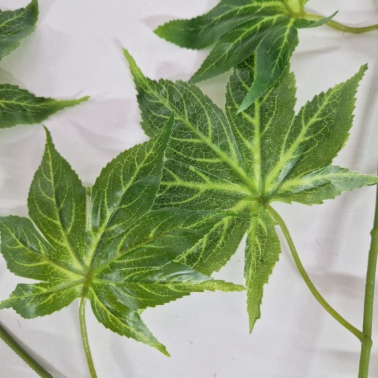 Set 6 crenguta fara ghiveci, Naimeed D3073, 61x68cm, Verde