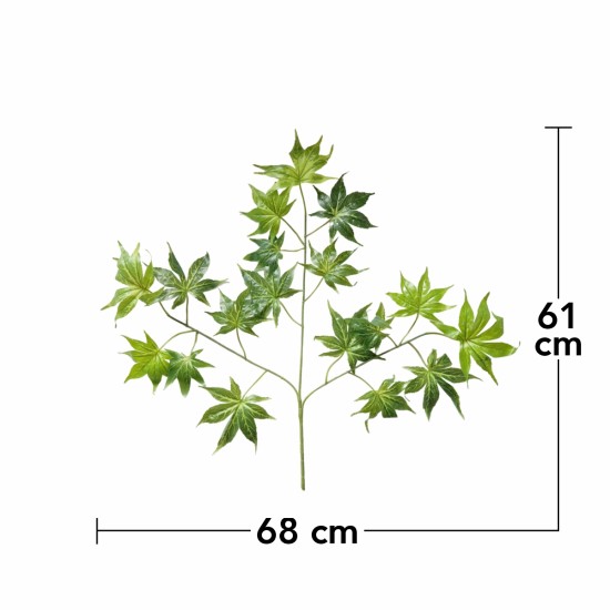 Set 6 crenguta fara ghiveci, Naimeed D3073, 61x68cm, Verde