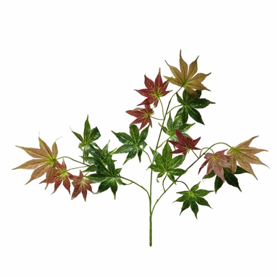 Set 6 crenguta fara ghiveci, Naimeed D3073, 61x68cm, Verde/Maro