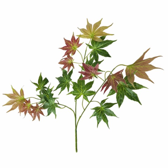 Set 6 crenguta fara ghiveci, Naimeed D3073, 61x68cm, Verde/Maro