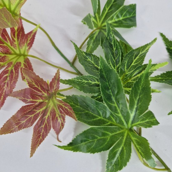 Set 6 crenguta fara ghiveci, Naimeed D3073, 61x68cm, Verde/Maro