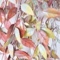 Planta artificiala curgatoare, inaltime 100cm, Naimeed D4859, Multicolor