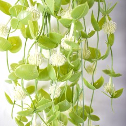 Planta artificiala curgatoare, inaltime 90cm, Naimeed D4862, Alb