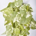 Planta artificiala curgatoare, inaltime 70cm, Naimeed D4871, Verde Deschis