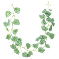 Ghirlanda artificiala, Naimeed D4986, Verde, 1.7m