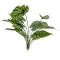 Planta artificiala, Syngonium fara ghiveci, Naimeed D4996, 67x57 cm, Verde Planta artificiala, Syngonium fara ghiveci, Naimeed D4996, 67x57 cm, Verde