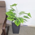 Planta artificiala, Syngonium fara ghiveci, Naimeed D4996, 67x57 cm, Verde Planta artificiala, Syngonium fara ghiveci, Naimeed D4996, 67x57 cm, Verde