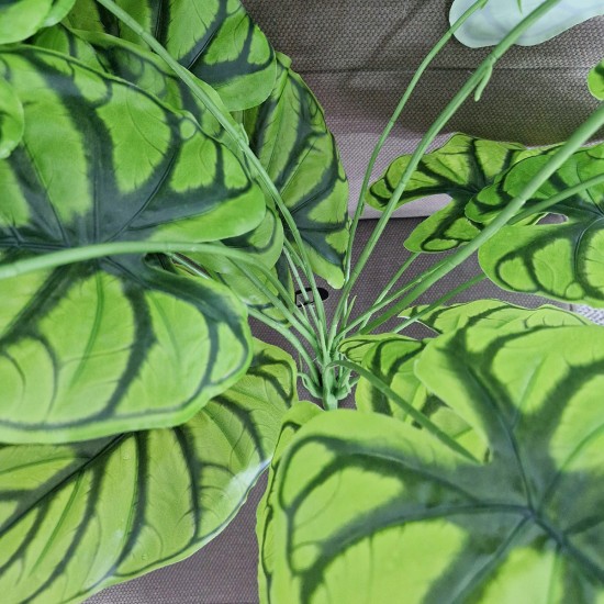 Planta artificiala, Syngonium fara ghiveci, Naimeed D4996, 67x57 cm, Verde Planta artificiala, Syngonium fara ghiveci, Naimeed D4996, 67x57 cm, Verde