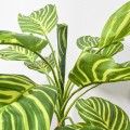 Planta artificiala, Dracaena Marginata fara ghiveci, Naimeed D5601, 115x51 cm, Verde/Galben Planta artificiala, Dracaena Marginata fara ghiveci, Naimeed D5601, 115x51 cm, Verde/Galben