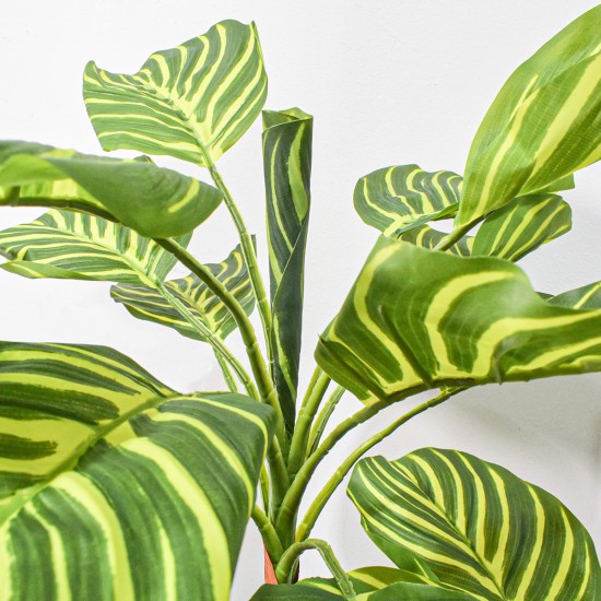 Planta artificiala, Dracaena Marginata fara ghiveci, Naimeed D5601, 115x51 cm, Verde/Galben Planta artificiala, Dracaena Marginata fara ghiveci, Naimeed D5601, 115x51 cm, Verde/Galben