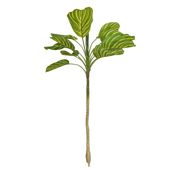 Planta artificiala, Dracaena Marginata fara ghiveci, Naimeed D5601, 115x51 cm, Verde/Galben Planta artificiala, Dracaena Marginata fara ghiveci, Naimeed D5601, 115x51 cm, Verde/Galben