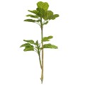 Planta artificiala, Dracaena Marginata fara ghiveci, Naimeed D5601, 115x51 cm, Verde/Galben Planta artificiala, Dracaena Marginata fara ghiveci, Naimeed D5601, 115x51 cm, Verde/Galben