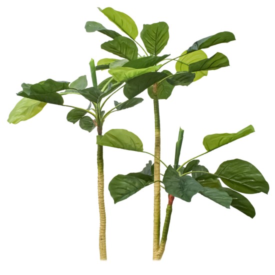 Planta artificiala, Dracaena Marginata fara ghiveci, Naimeed D5601, 115x51 cm, Verde Planta artificiala, Dracaena Marginata fara ghiveci, Naimeed D5601, 115x51 cm, Verde