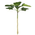Planta artificiala, Dracaena Marginata fara ghiveci, Naimeed D5601, 115x51 cm, Verde Planta artificiala, Dracaena Marginata fara ghiveci, Naimeed D5601, 115x51 cm, Verde