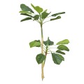 Planta artificiala, Dracaena Marginata fara ghiveci, Naimeed D5601, 115x51 cm, Verde Planta artificiala, Dracaena Marginata fara ghiveci, Naimeed D5601, 115x51 cm, Verde