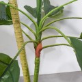 Planta artificiala, Dracaena Marginata fara ghiveci, Naimeed D5601, 115x51 cm, Verde Planta artificiala, Dracaena Marginata fara ghiveci, Naimeed D5601, 115x51 cm, Verde