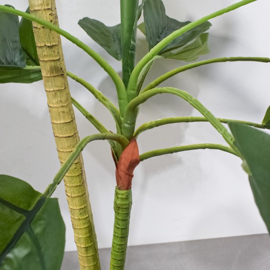 Planta artificiala, Dracaena Marginata fara ghiveci, Naimeed D5601, 115x51 cm, Verde Planta artificiala, Dracaena Marginata fara ghiveci, Naimeed D5601, 115x51 cm, Verde