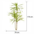 Planta artificiala, Dracaena Marginata fara ghiveci, Naimeed D5604, 175x78 cm, Verde Galbui Planta artificiala, Dracaena Marginata fara ghiveci, Naimeed D5604, 175x78 cm, Verde Galbui