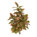 Planta artificiala, Croton Magnificent fara ghiveci, Naimeed D5608, 110x75 cm, Rosu Planta artificiala, Croton Magnificent fara ghiveci, Naimeed D5608, 110x75 cm, Rosu