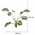 Planta artificiala, Caladium fara ghiveci, Naimeed D5614, 134x150 cm, Verde