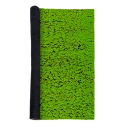Covor muschi artificial de padure, Naimeed D6539, pentru decorare interioara sau exterioara, Verde, 1000x1000x30mm