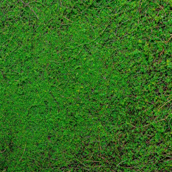 Covor muschi artificial de padure, Naimeed D6551, pentru decorare interioara sau exterioara, Verde, 1000x1000x30mm