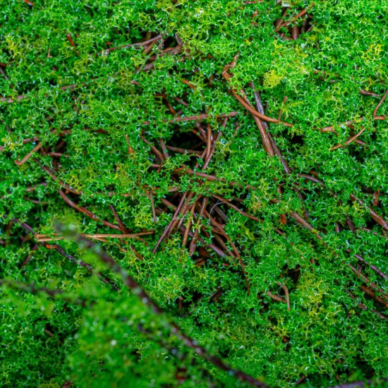 Covor muschi artificial de padure, Naimeed D6551, pentru decorare interioara sau exterioara, Verde, 1000x1000x30mm