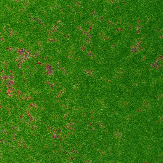 Covor muschi artificial de padure, Naimeed D6552, pentru decorare interioara sau exterioara, Verde, 1000x1000x10mm