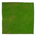 Covor muschi artificial de padure, Naimeed D6552, pentru decorare interioara sau exterioara, Verde, 1000x1000x10mm