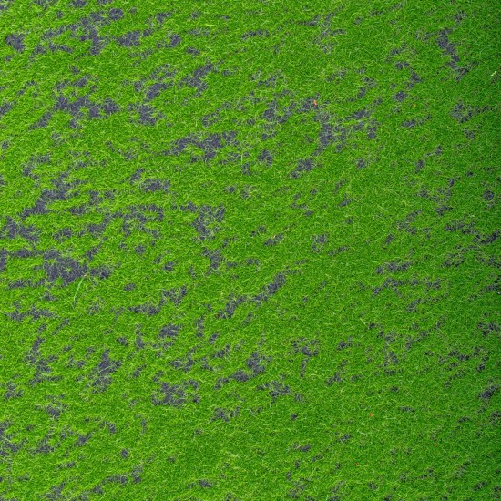 Covor muschi artificial de padure, Naimeed D6554, pentru decorare interioara sau exterioara, Verde, 1000x1000x10mm