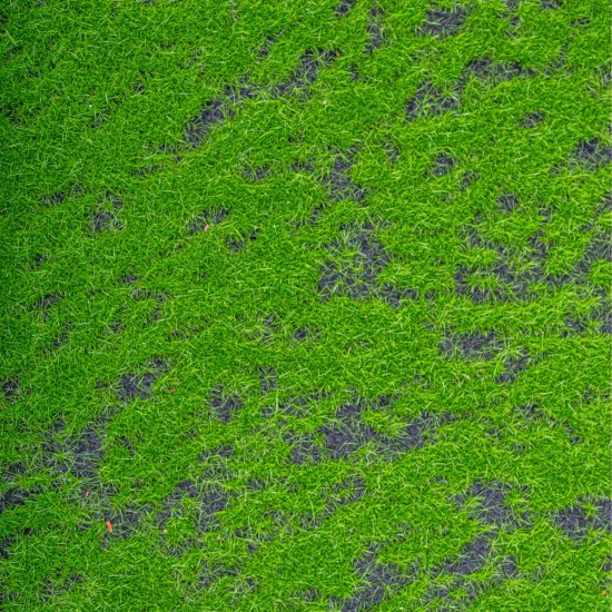 Covor muschi artificial de padure, Naimeed D6554, pentru decorare interioara sau exterioara, Verde, 1000x1000x10mm