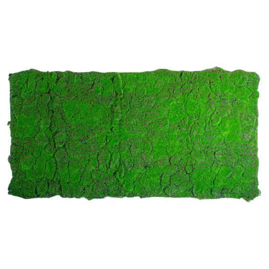 Covor muschi artificial de padure, Naimeed D6556, pentru decorare interioara sau exterioara, Verde, 1000x2000x30mm
