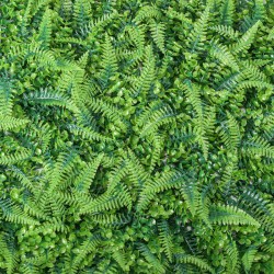 Panou verde din plante artificiale, Naimeed D4967